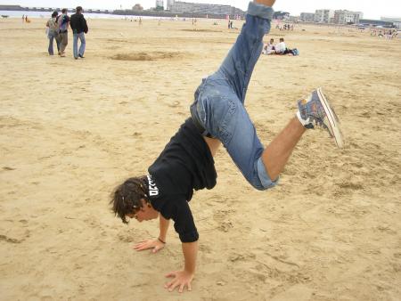 Brice